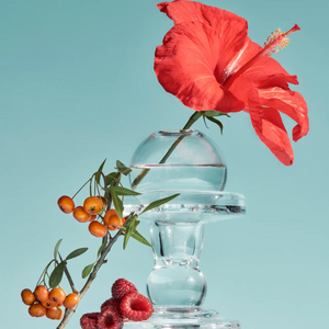 VITA BERRY PORE TONER TOCOBO
